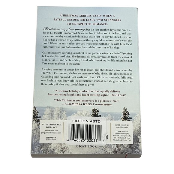 All I Want for Christmas Is a Cowboy Book by Jessica Clare Romance Novel - Picture 2 of 4